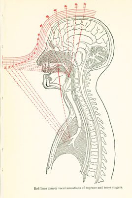 Lehmann2